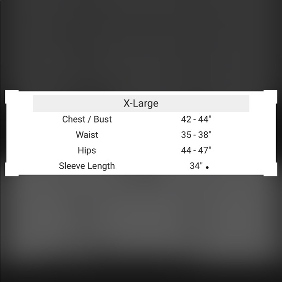 SOLD!!! North Face Downtown Parka Coat - Picture 6 of 6